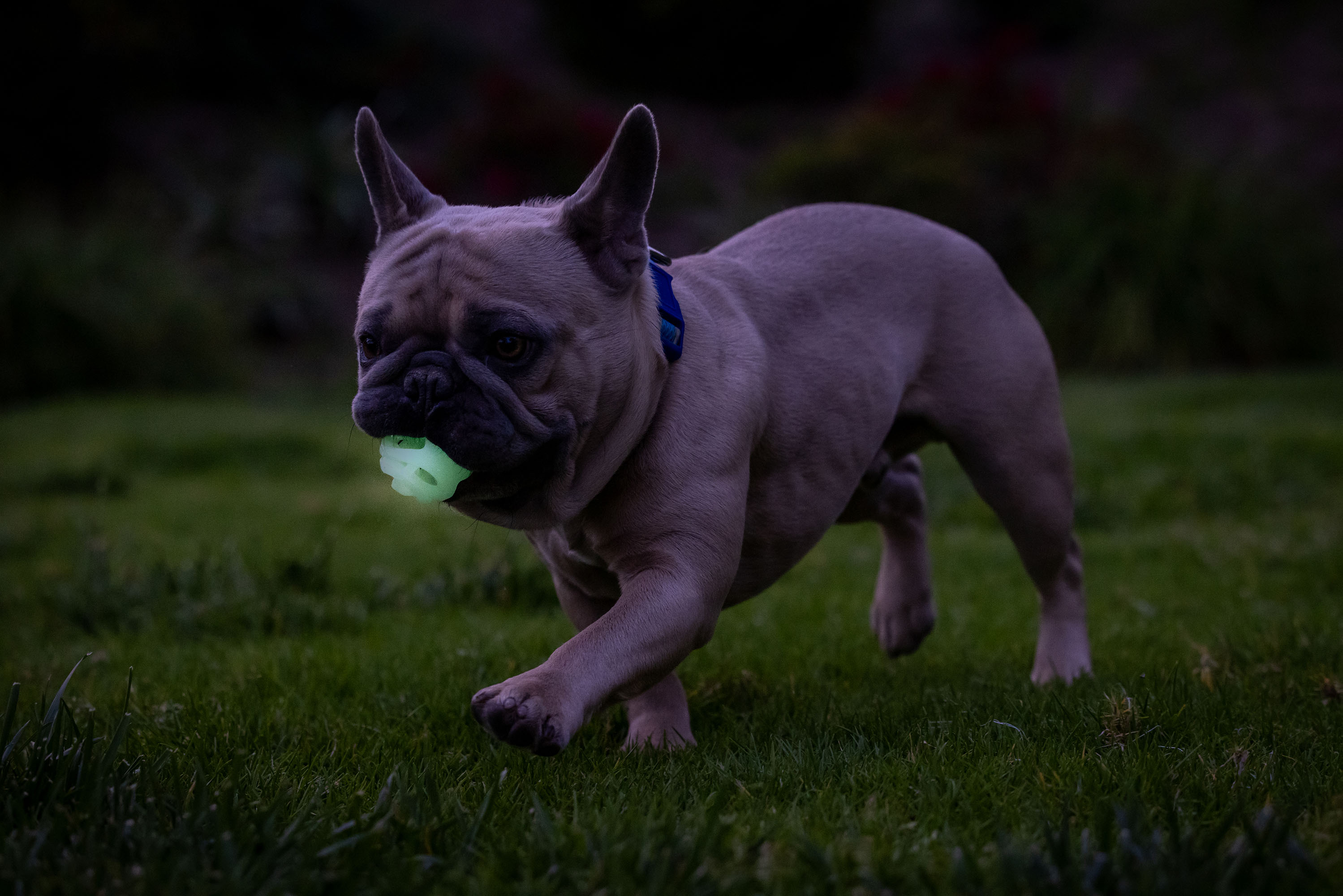 Chuckit! Air Glow Fetch Ball S (2-pack) — afbeelding 4