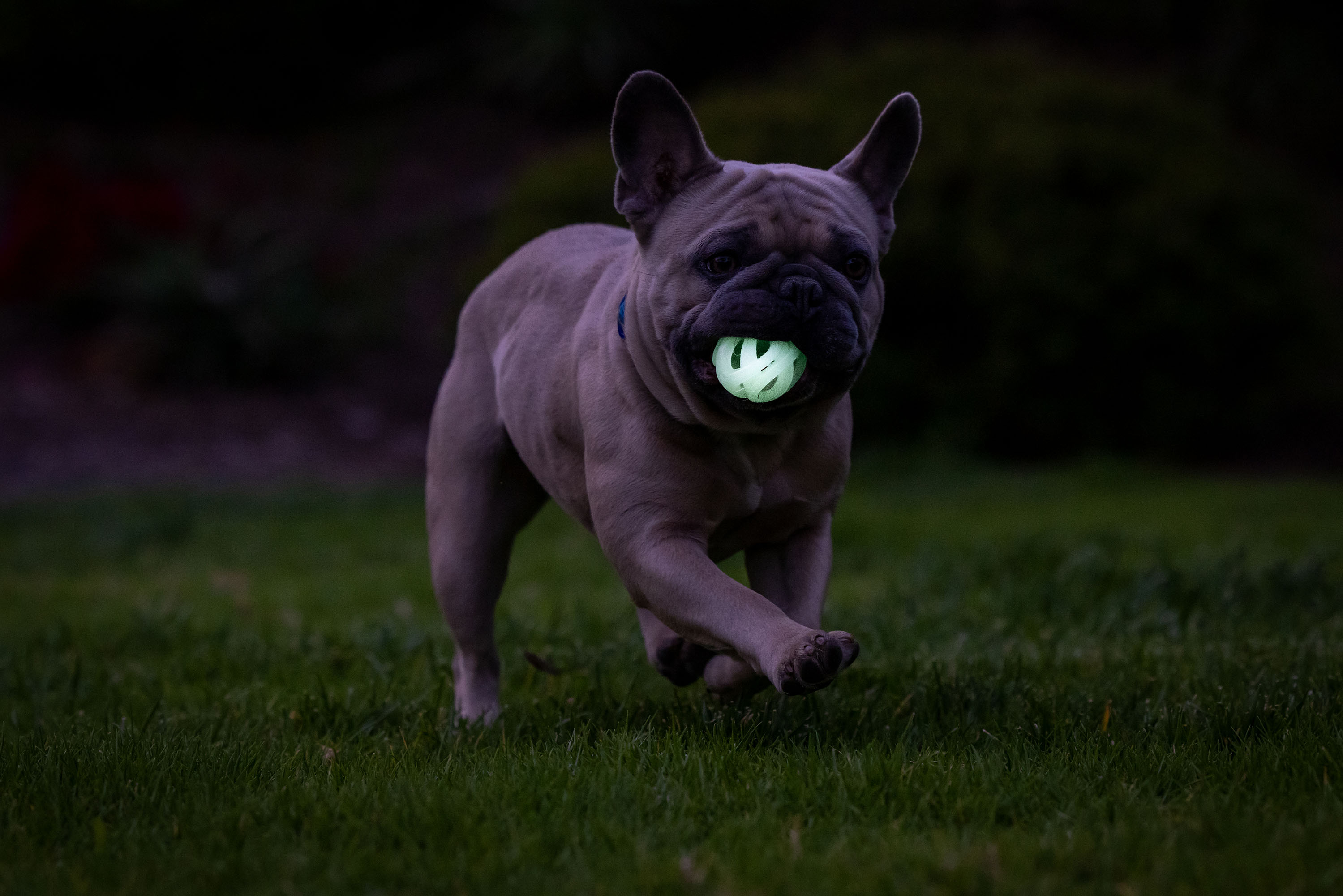 Chuckit! Air Glow Fetch Ball M (2-pack) — afbeelding 5