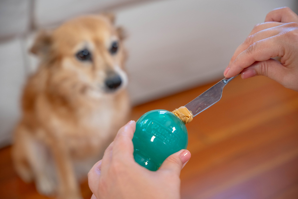 Outward Hound Double-Tuff M Blauw — afbeelding 5