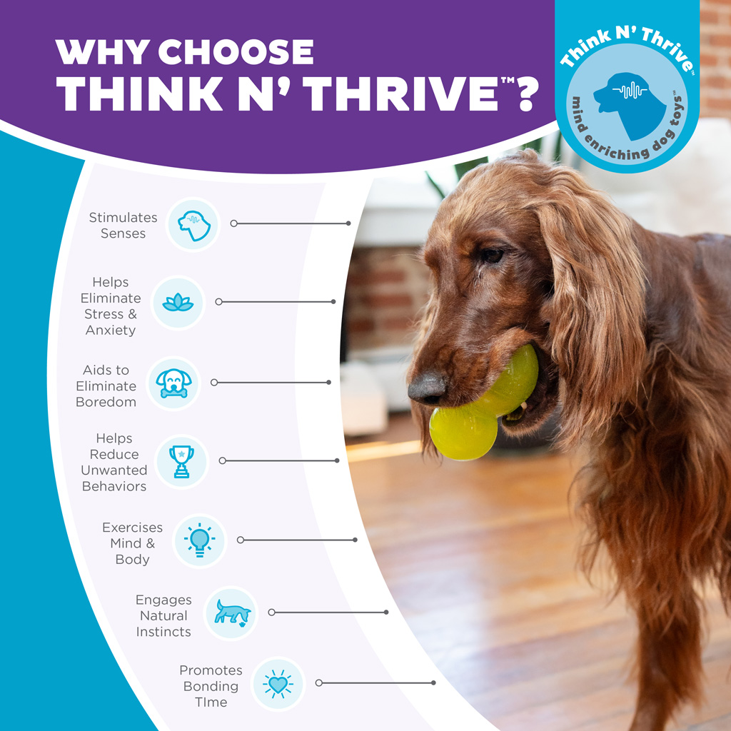 Outward Hound Double-Tuff L Groen — afbeelding 4