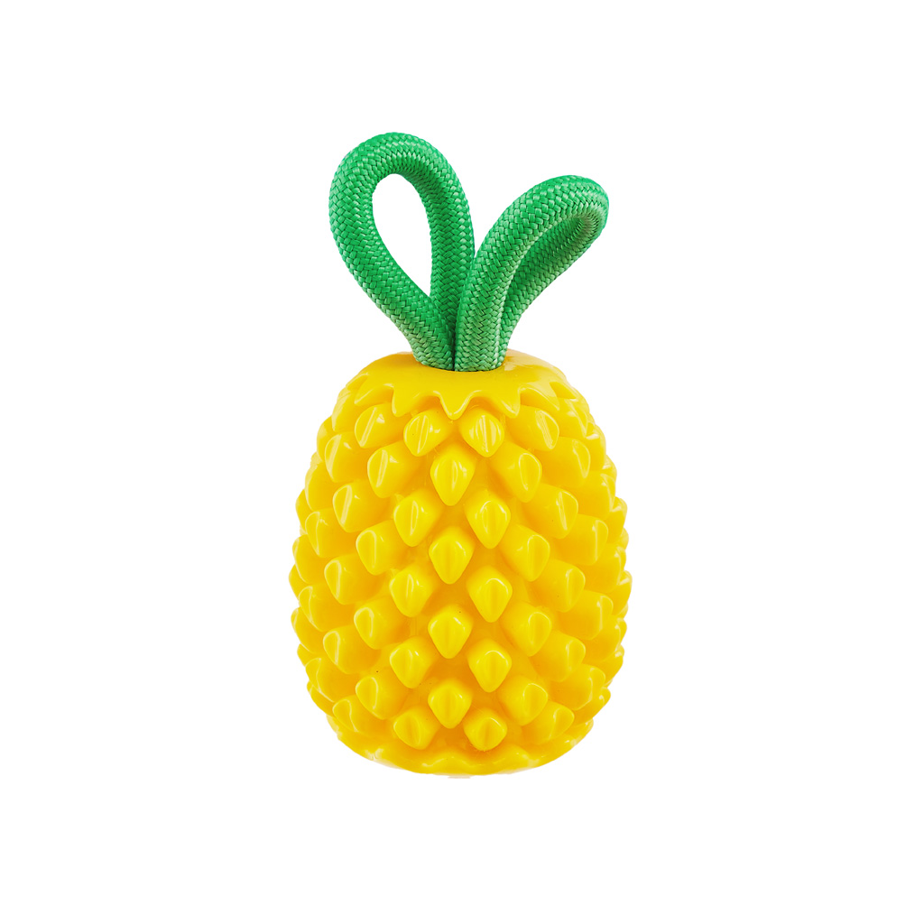 Outward Hound Dental Pineapple — afbeelding 2