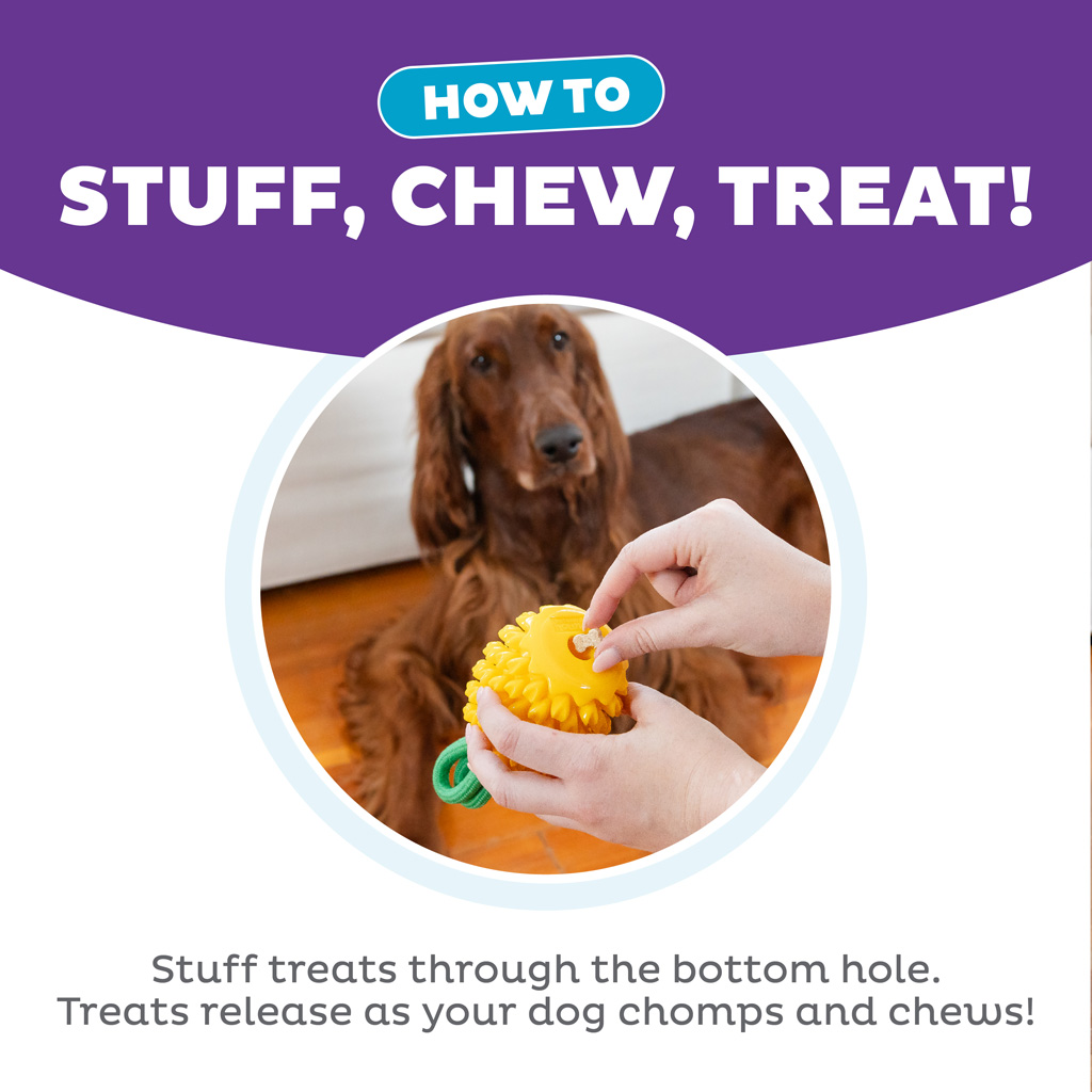 Outward Hound Dental Pineapple — afbeelding 6