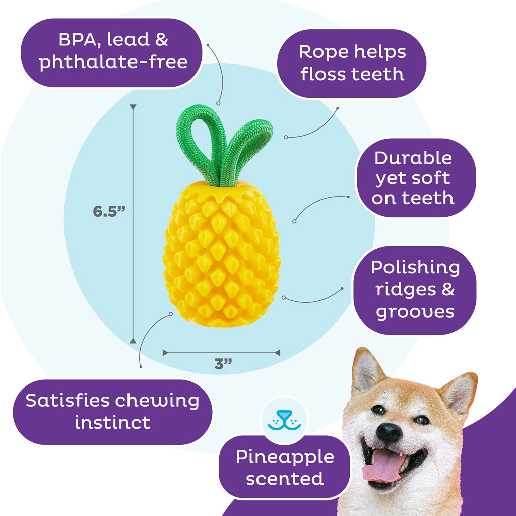 Outward Hound Dental Pineapple — afbeelding 5