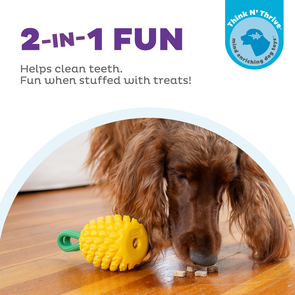 Outward Hound Dental Pineapple — afbeelding 4