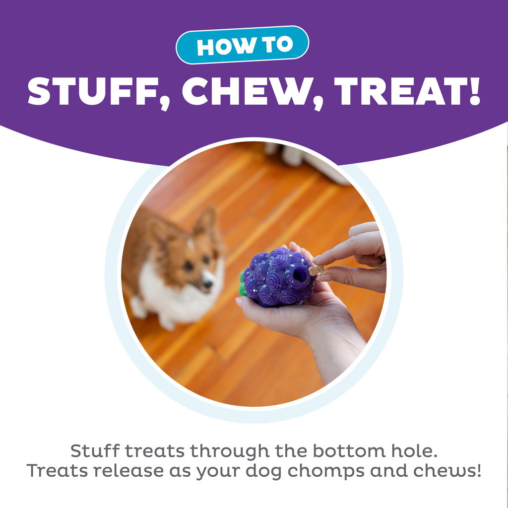 Outward Hound Dental Grapes — afbeelding 6