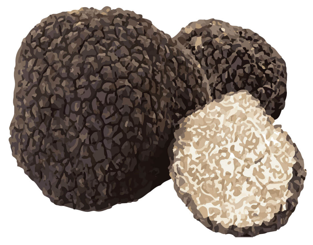 SwissCowers Cheese Bars Truffle S — afbeelding 5