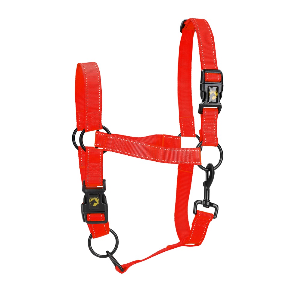 Excellent Premium Halster Rood XL