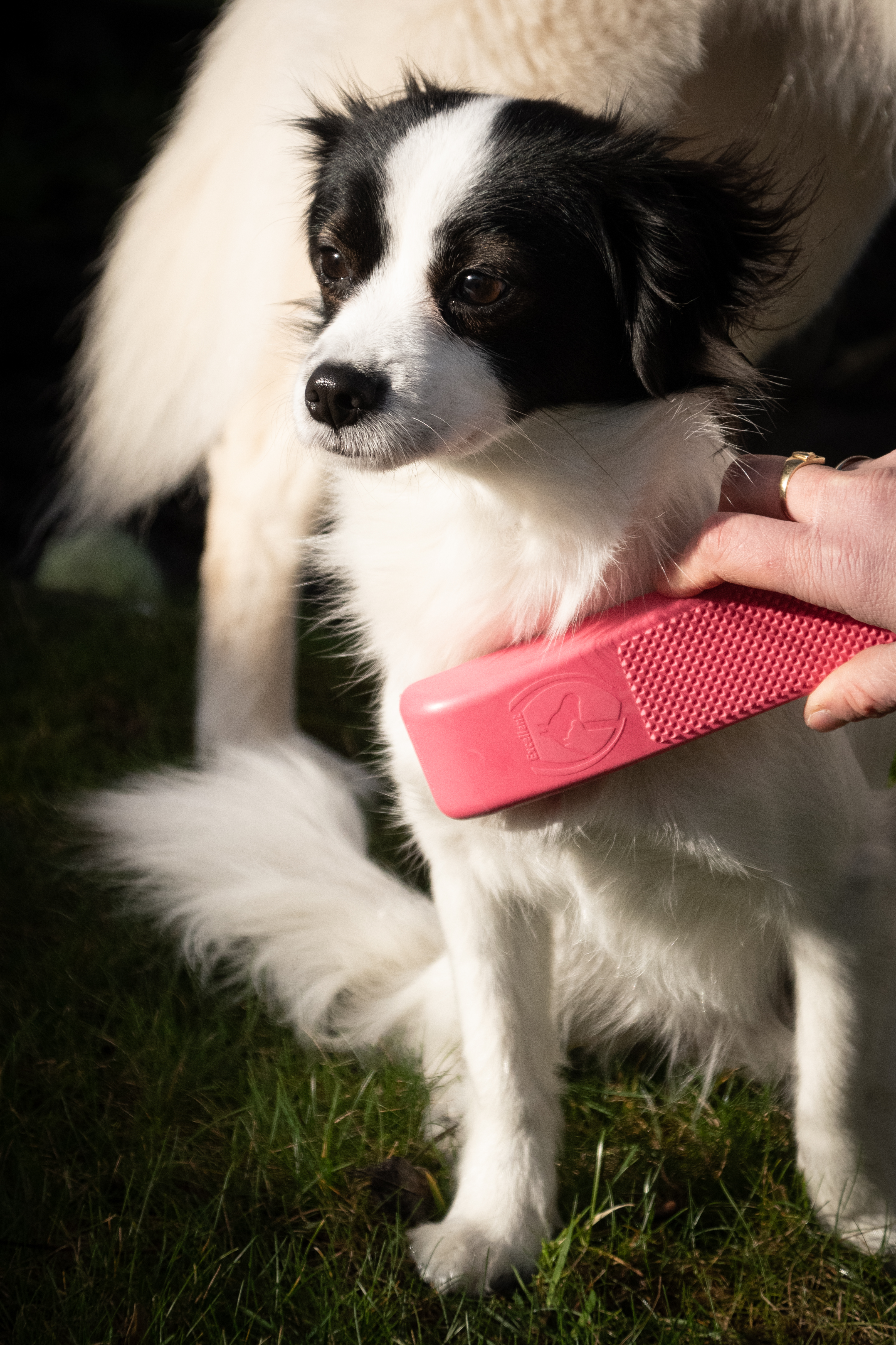 Excellent Pets Grooming Brush Medium Roze — afbeelding 2