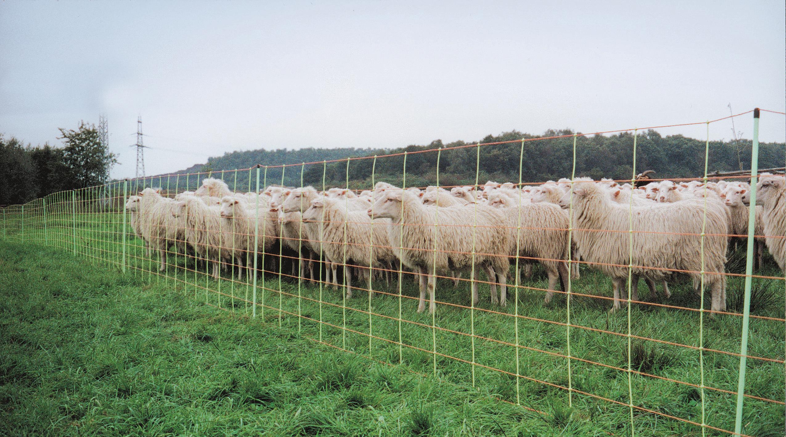 Euro-Netz 106 cm dubbelpunt — afbeelding 3