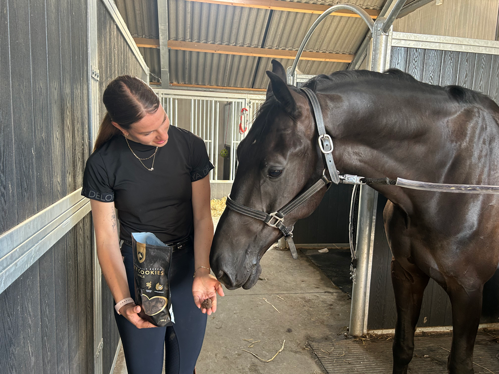 Excellent Horse Ambachtelijke Paardenkoekjes Appel — afbeelding 4