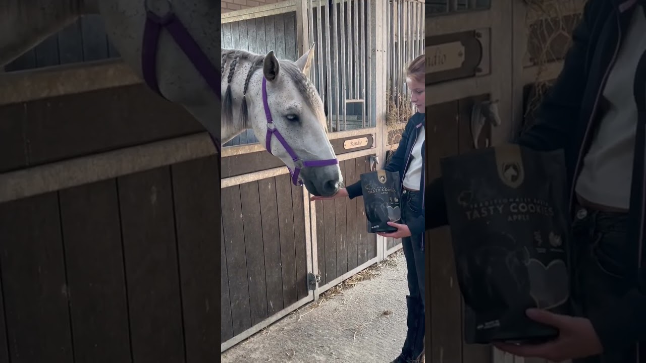 Excellent Horse Ambachtelijke Paardenkoekjes Appel — afbeelding 5