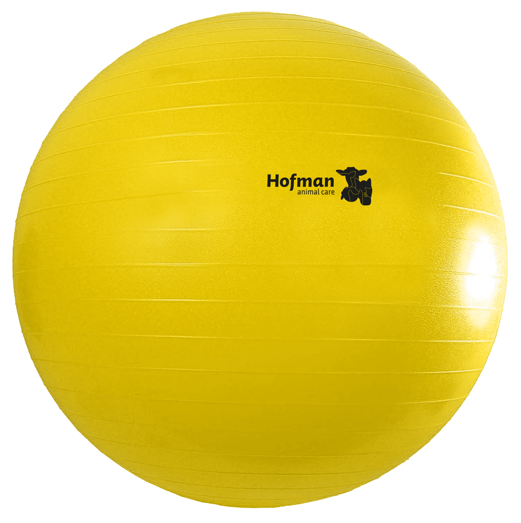 Maximus Power Play Ball 100 cm — afbeelding 2