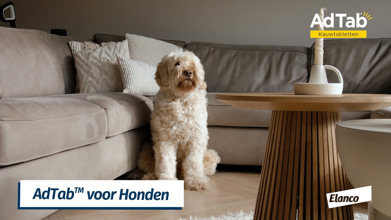 Elanco AdTab kauwtabletten hond (>22 - 45 kg) — afbeelding 2
