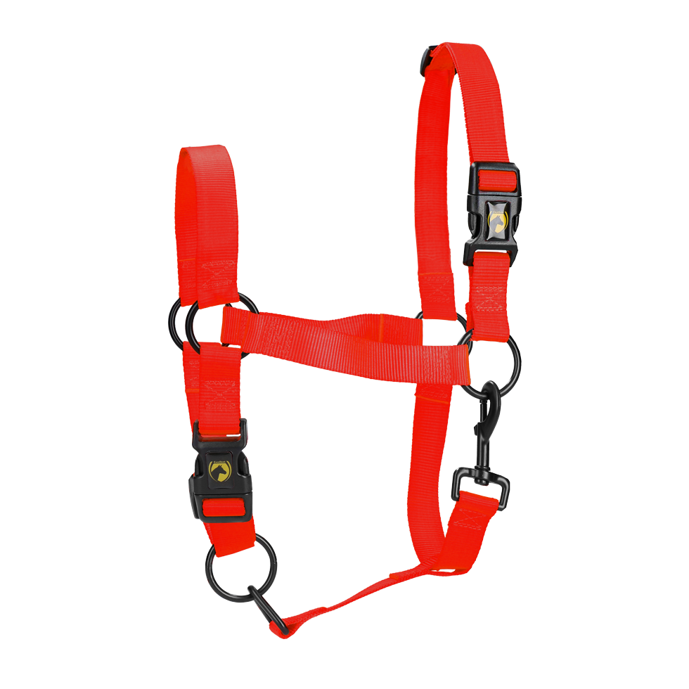 Excellent Essential Halster Rood L