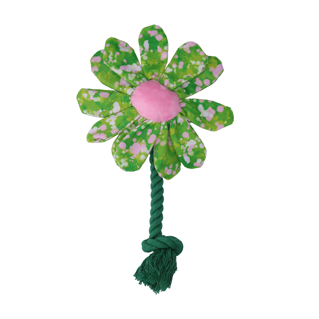 Garden Paws Flower Summer Shrubs S — afbeelding 2