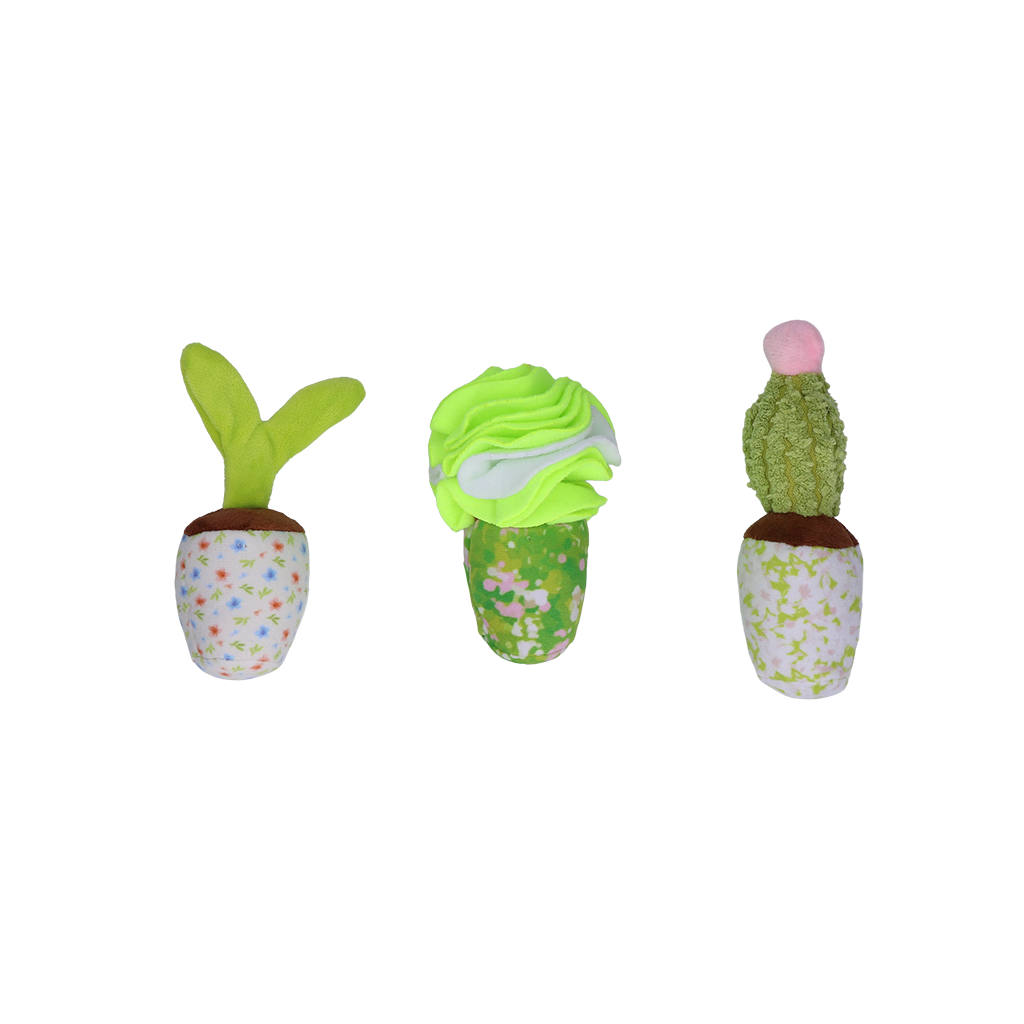 Garden Paws Snuffle Box Sprout, Crop & Cactus — afbeelding 2