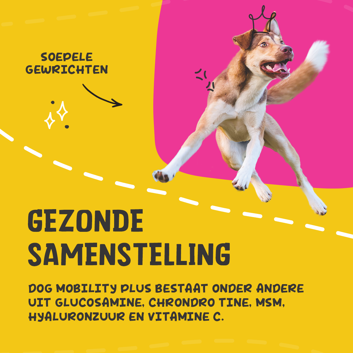 Excellent Pets Dog Mobility+ 100 g — afbeelding 5