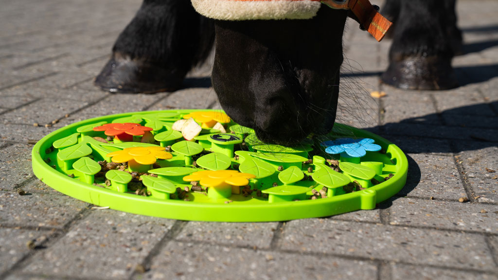Excellent Horse Snuffle Mat Flower Power — afbeelding 4