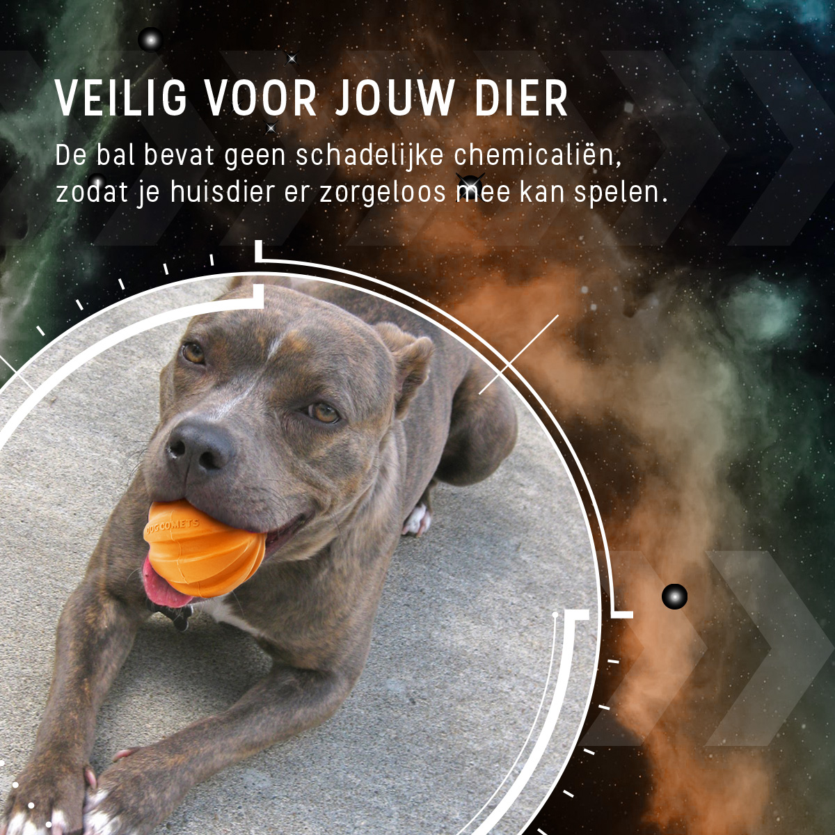 Dog Comets Swift Tuttle Oranje — afbeelding 6