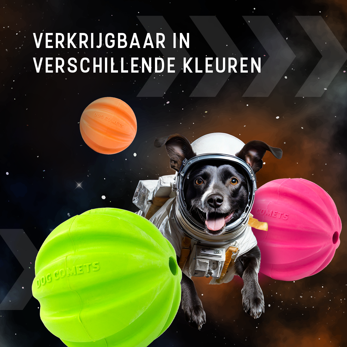 Dog Comets Swift Tuttle Met Touw Oranje — afbeelding 3