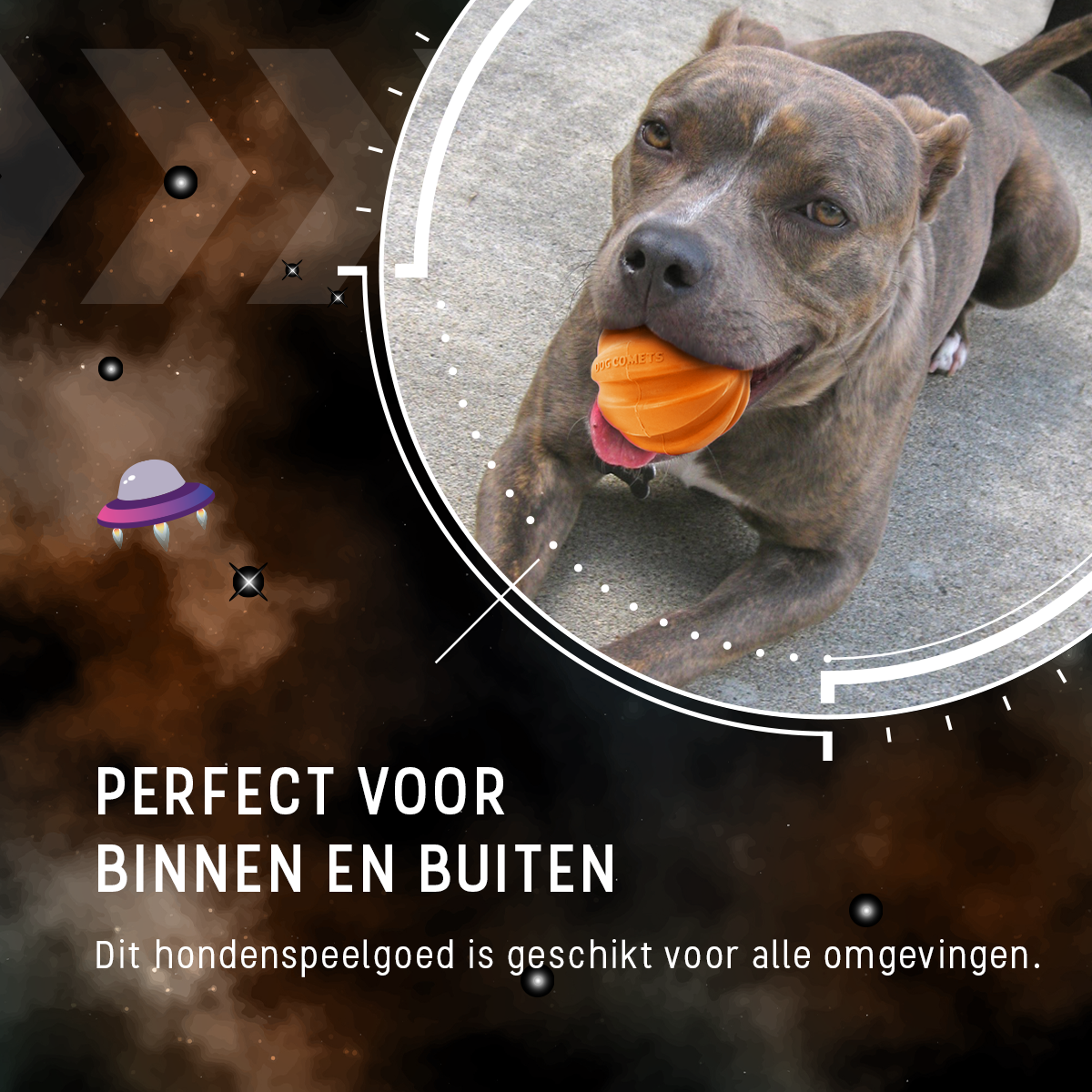 Dog Comets Swift Tuttle Met Touw Oranje — afbeelding 6