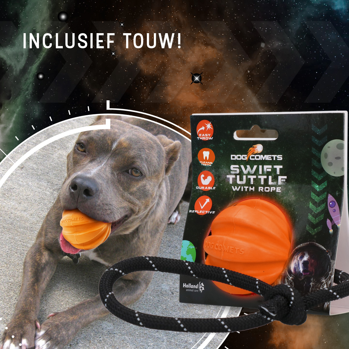 Dog Comets Swift Tuttle Met Touw Oranje — afbeelding 4