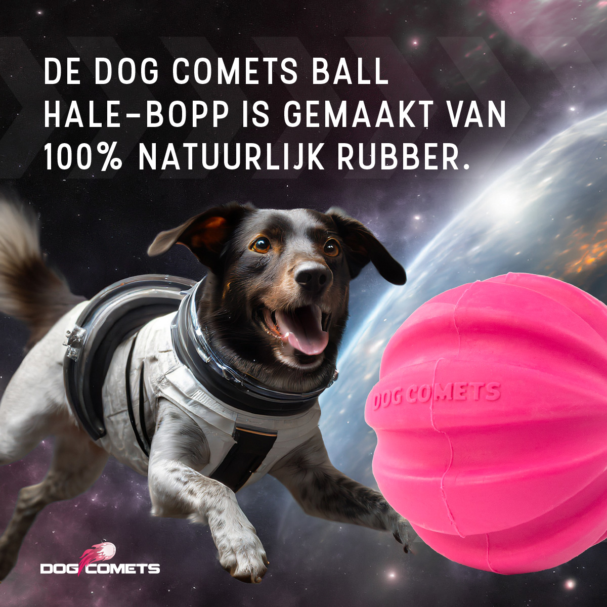 Dog Comets Halley Met Touw Roze — afbeelding 3