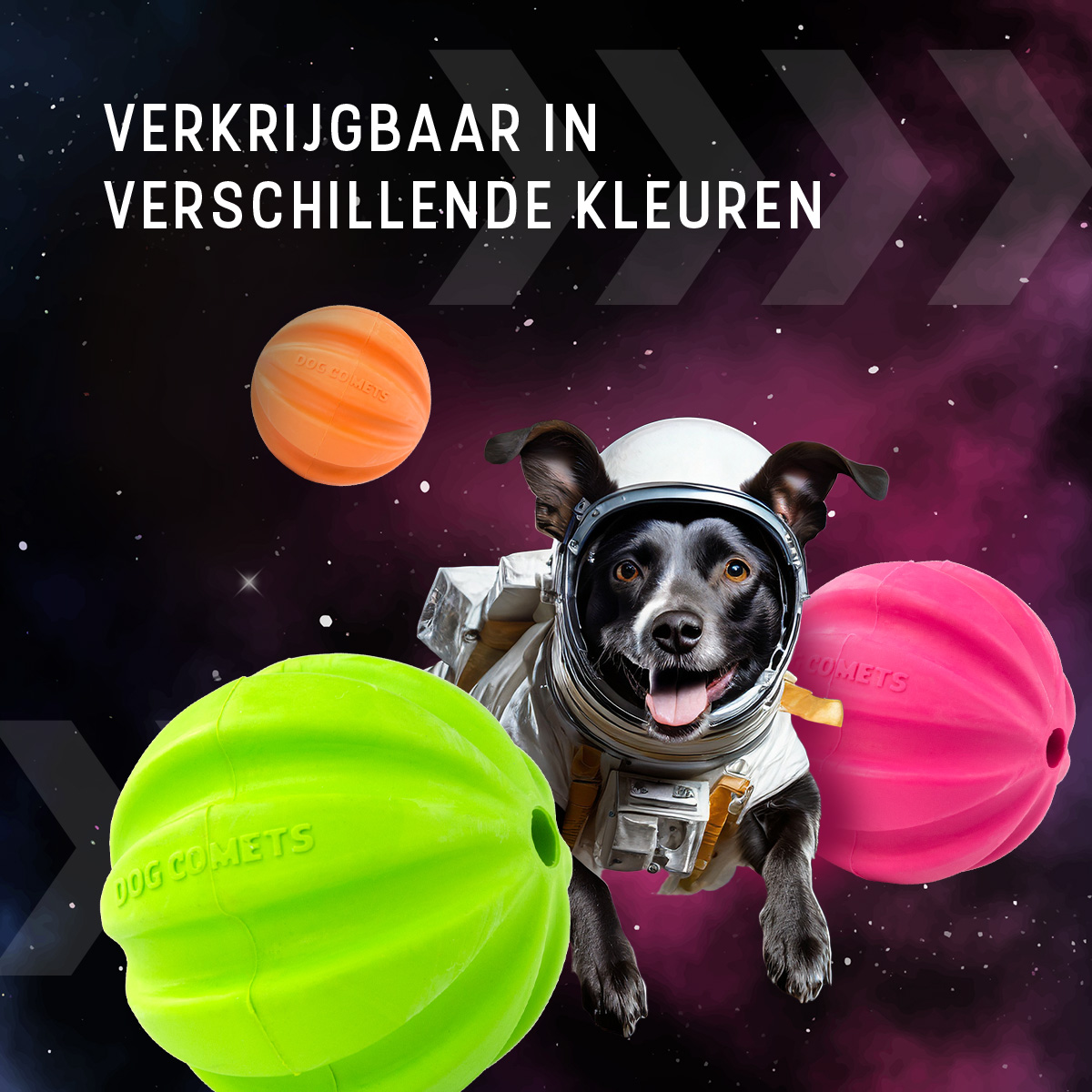 Dog Comets Halley Met Touw Roze — afbeelding 5
