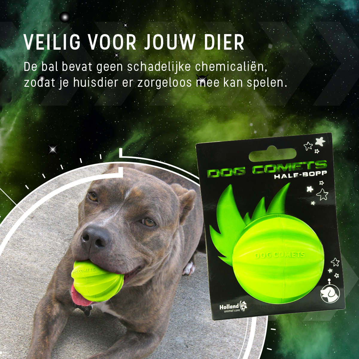 Dog Comets Hale Bopp Groen — afbeelding 6