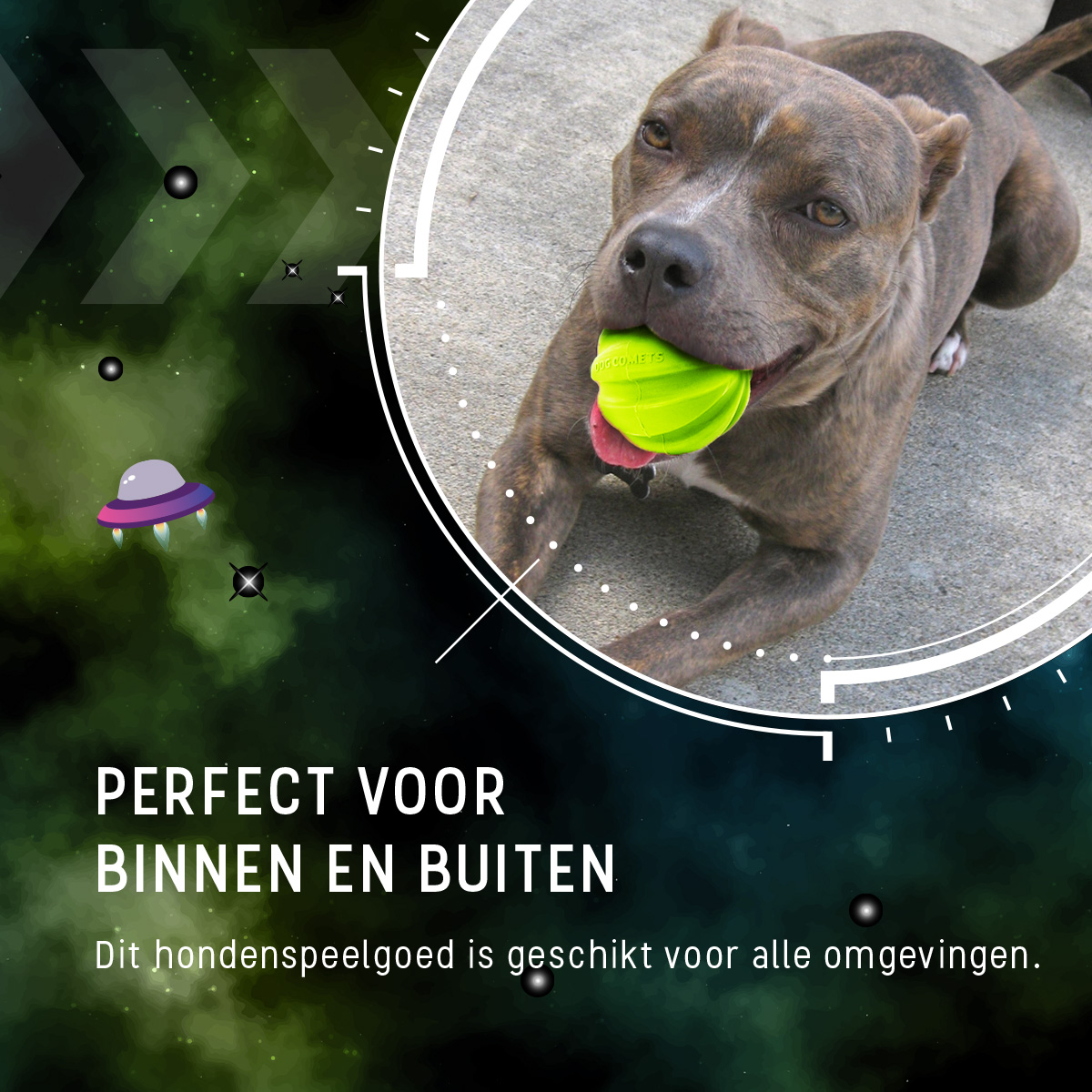 Dog Comets Hale Bopp Met Touw Groen — afbeelding 6