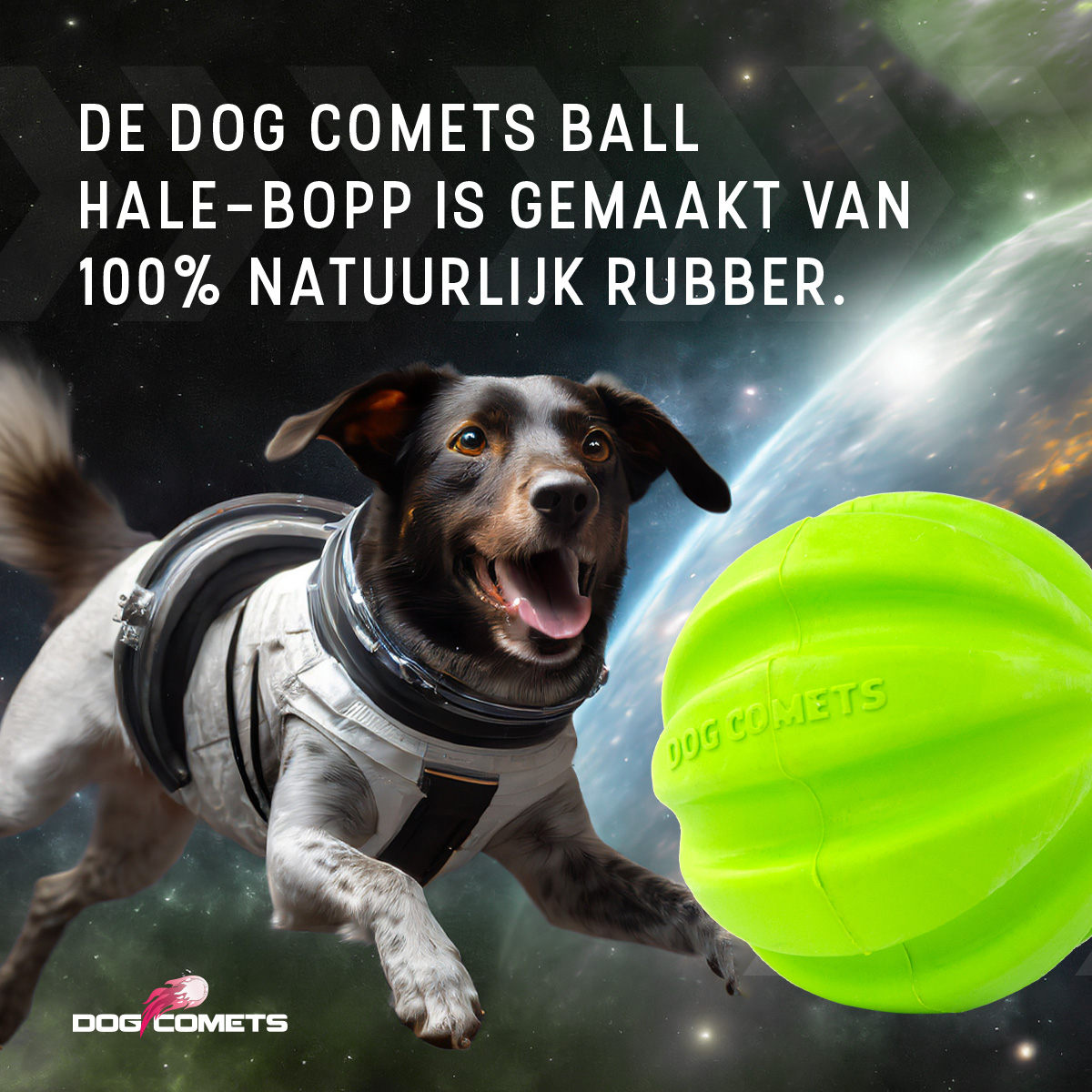 Dog Comets Hale Bopp Met Touw Groen — afbeelding 3