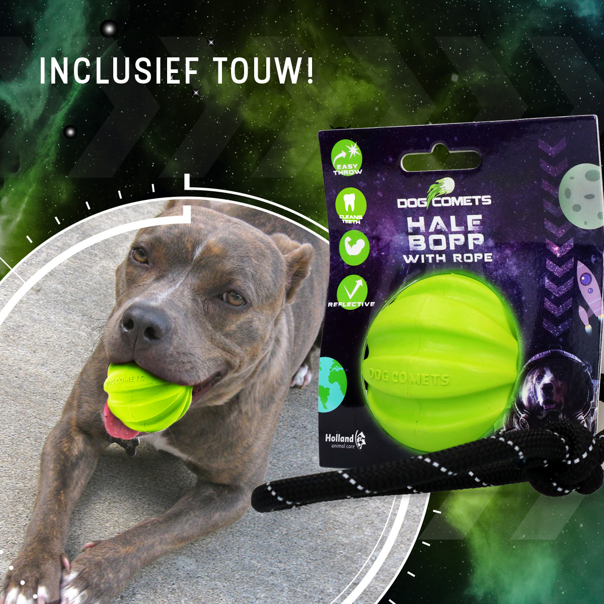 Dog Comets Hale Bopp Met Touw Groen — afbeelding 4