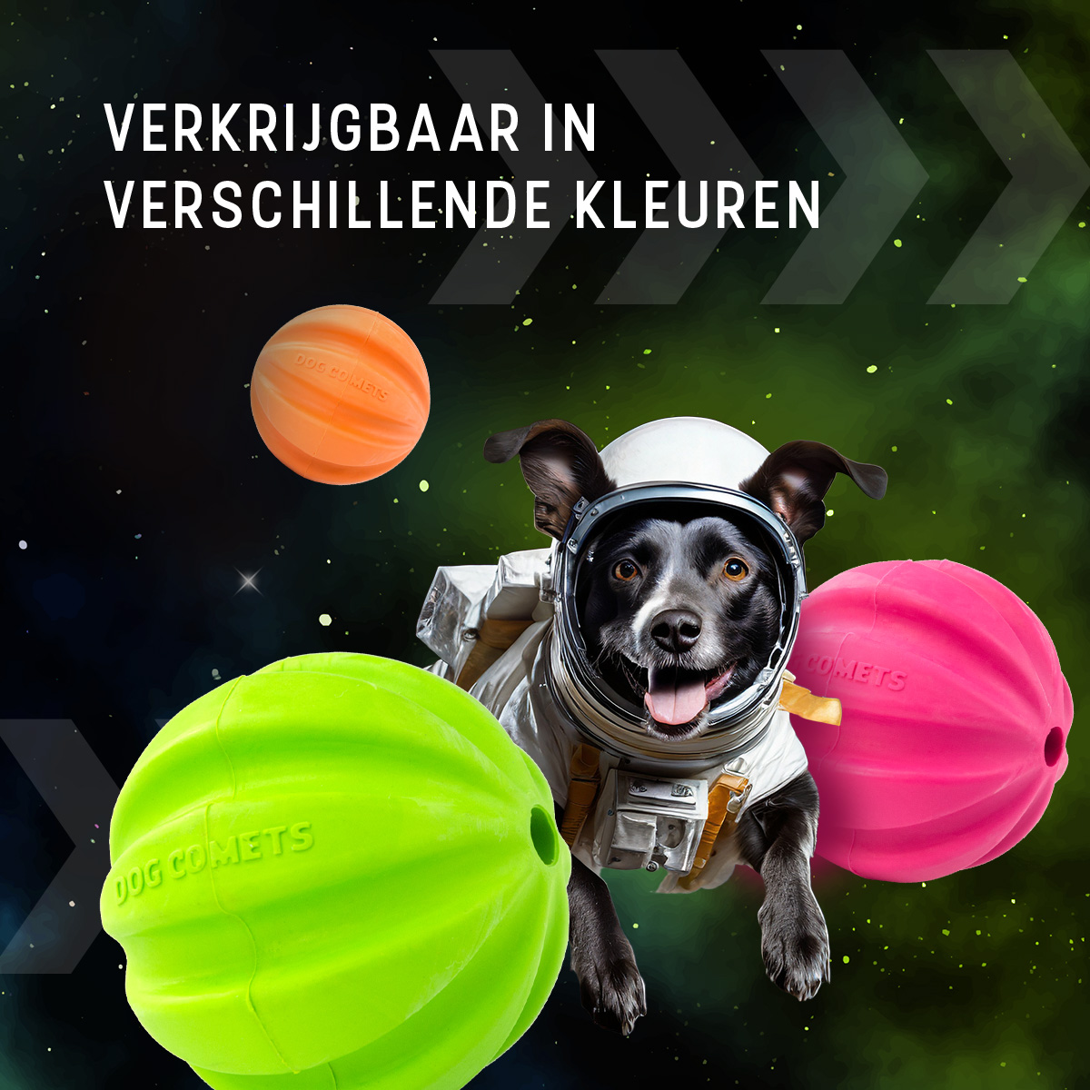 Dog Comets Hale Bopp Met Touw Groen — afbeelding 5