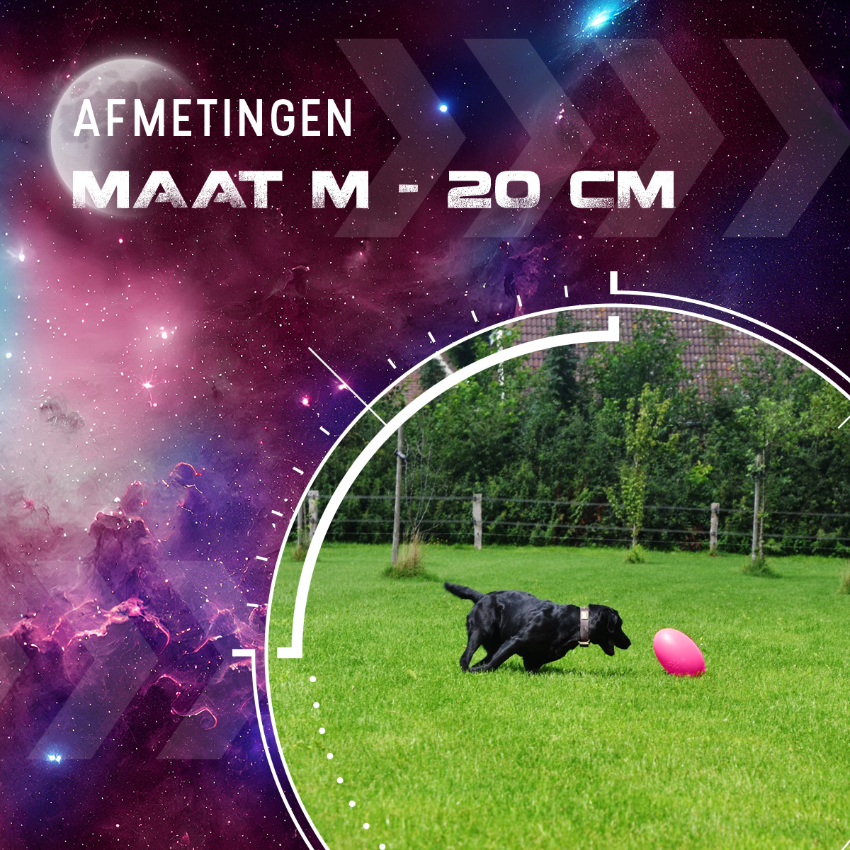 Dog Comets Pan-Stars Roze M — afbeelding 3