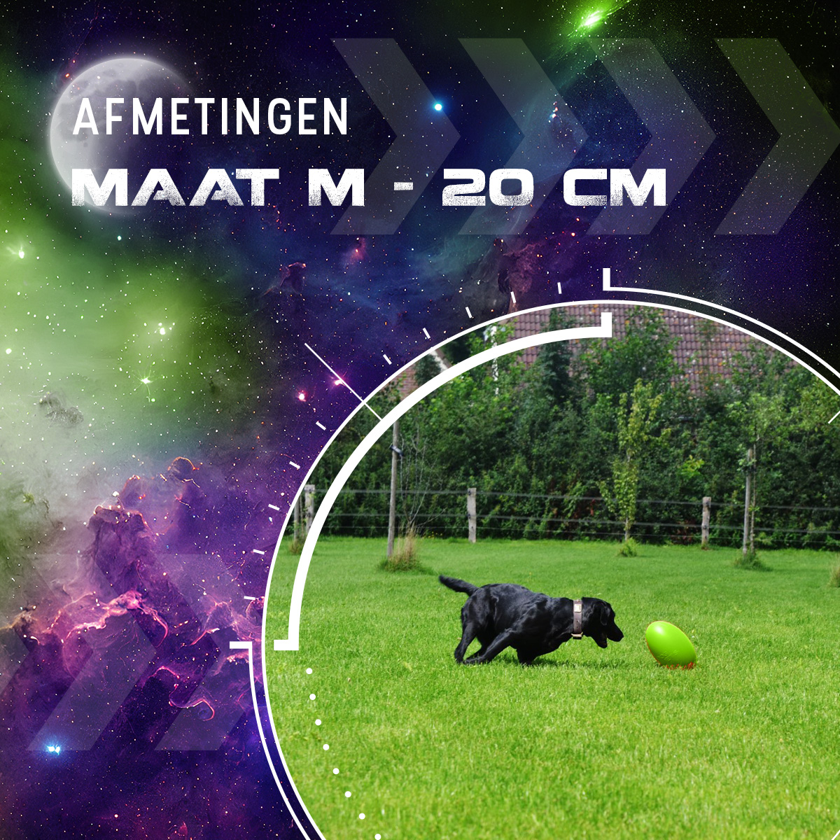Dog Comets Pan-Stars Groen M — afbeelding 3