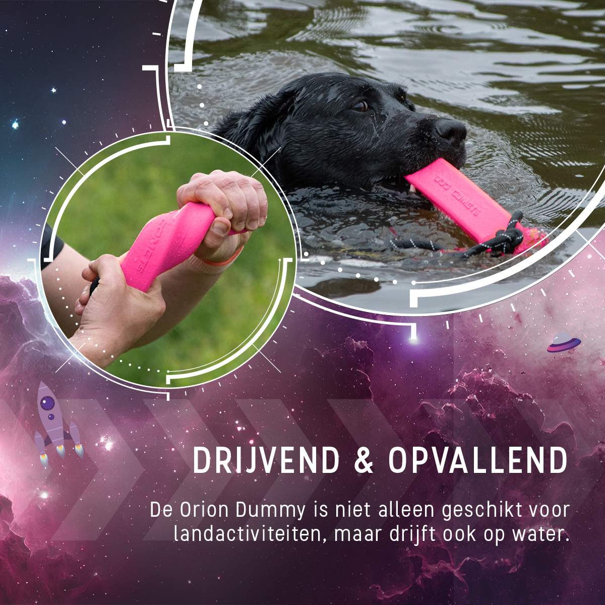 Dog Comets Orion Roze — afbeelding 6