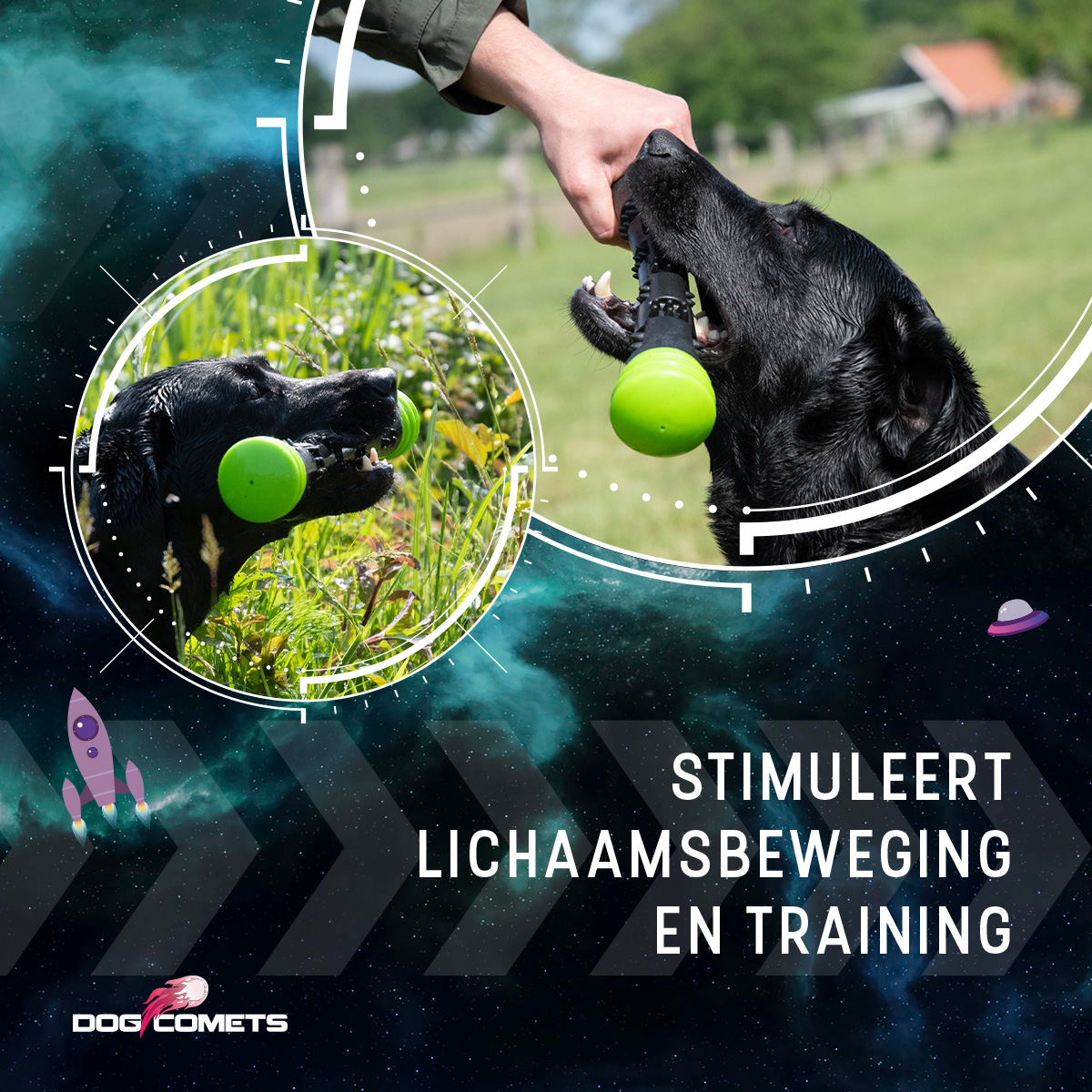 Dog Comets Meteor Werpstok Groen S — afbeelding 6