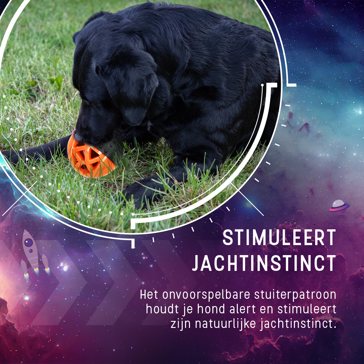 Dog Comets Moonstone Traktatiebal Oranje — afbeelding 6