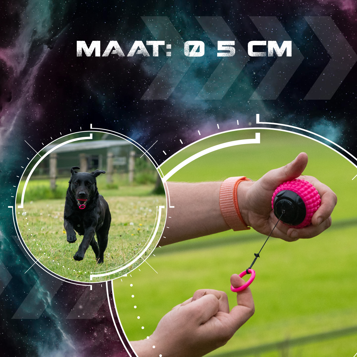 Dog Comets Blazar Jet Roze — afbeelding 5