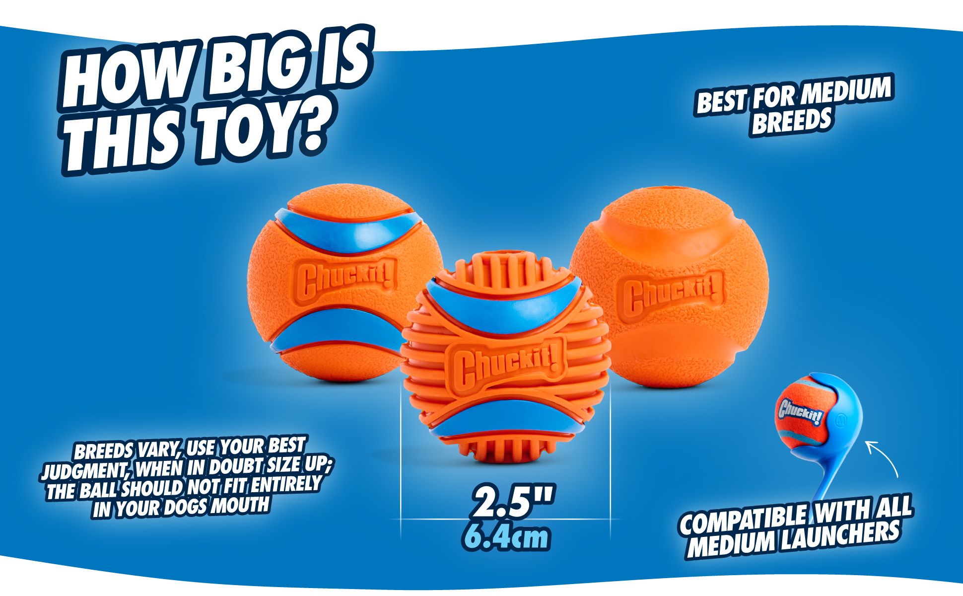 Chuckit! Fetch Ball L — afbeelding 4