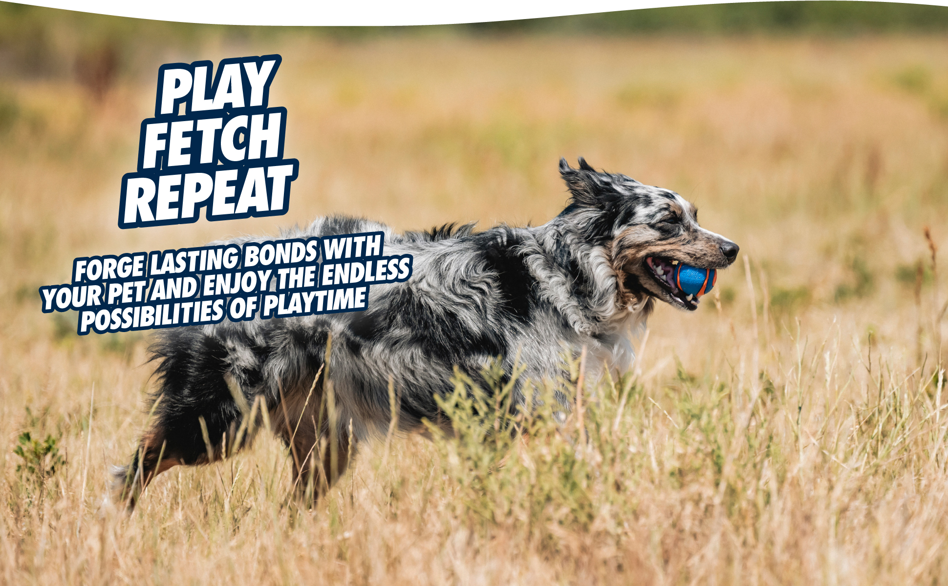 Chuckit! Ultra Squeaker Ball L (1-pack) — afbeelding 6