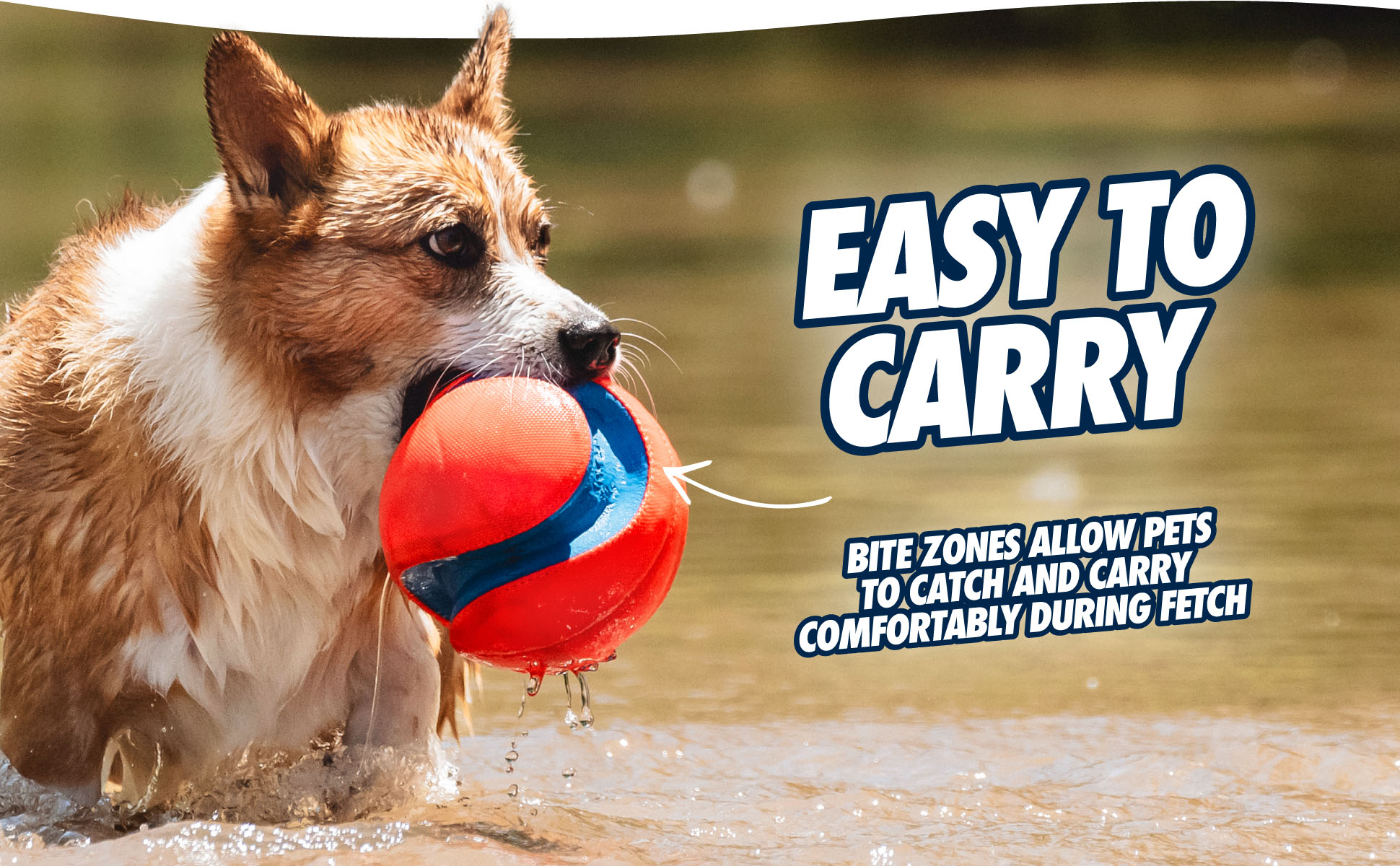 Chuckit! Kick Fetch Dog S — afbeelding 5