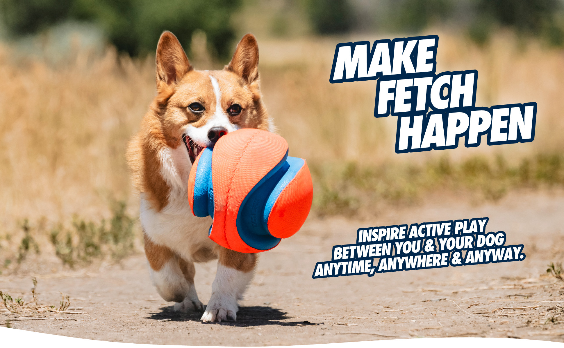 Chuckit! Kick Fetch Dog S — afbeelding 6