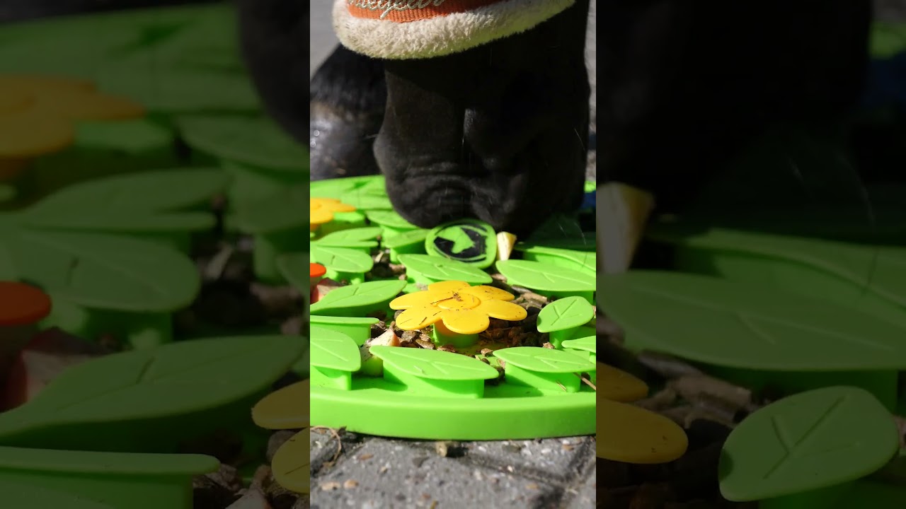 Excellent Horse Snuffle Mat Flower Power — afbeelding 6