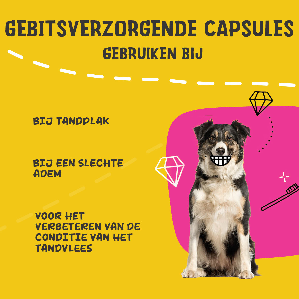Excellent Pets Dental Oral Care Capsules 90 pcs — afbeelding 4