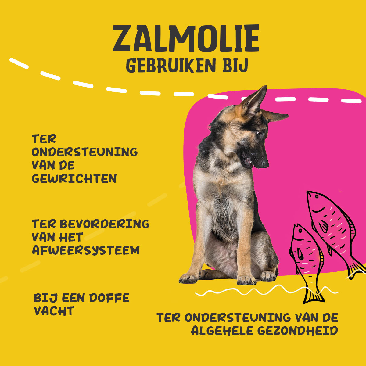 Excellent Pets Dog Salmon Oil 250 ml — afbeelding 4