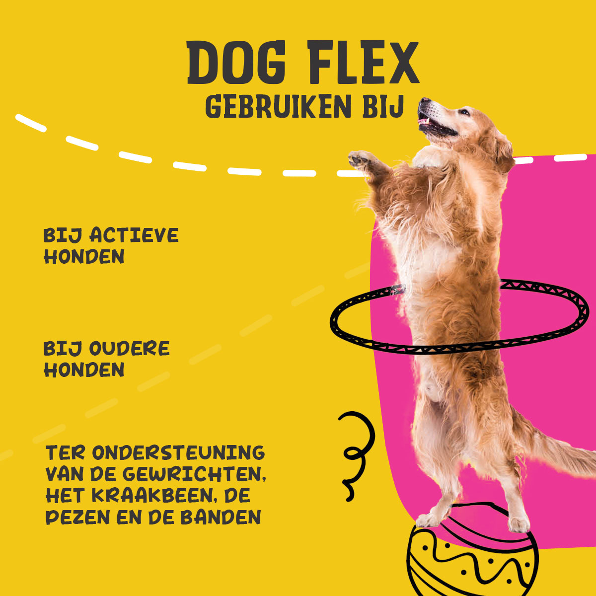 Excellent Pets Dog Flex 250 ml — afbeelding 6