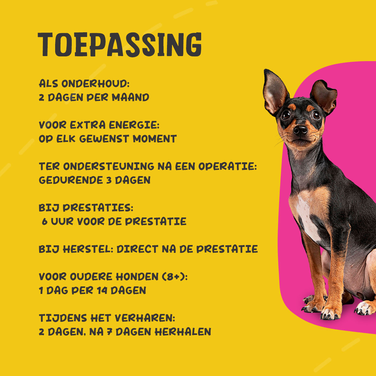 Excellent Pets Vital Total 50 ml — afbeelding 3