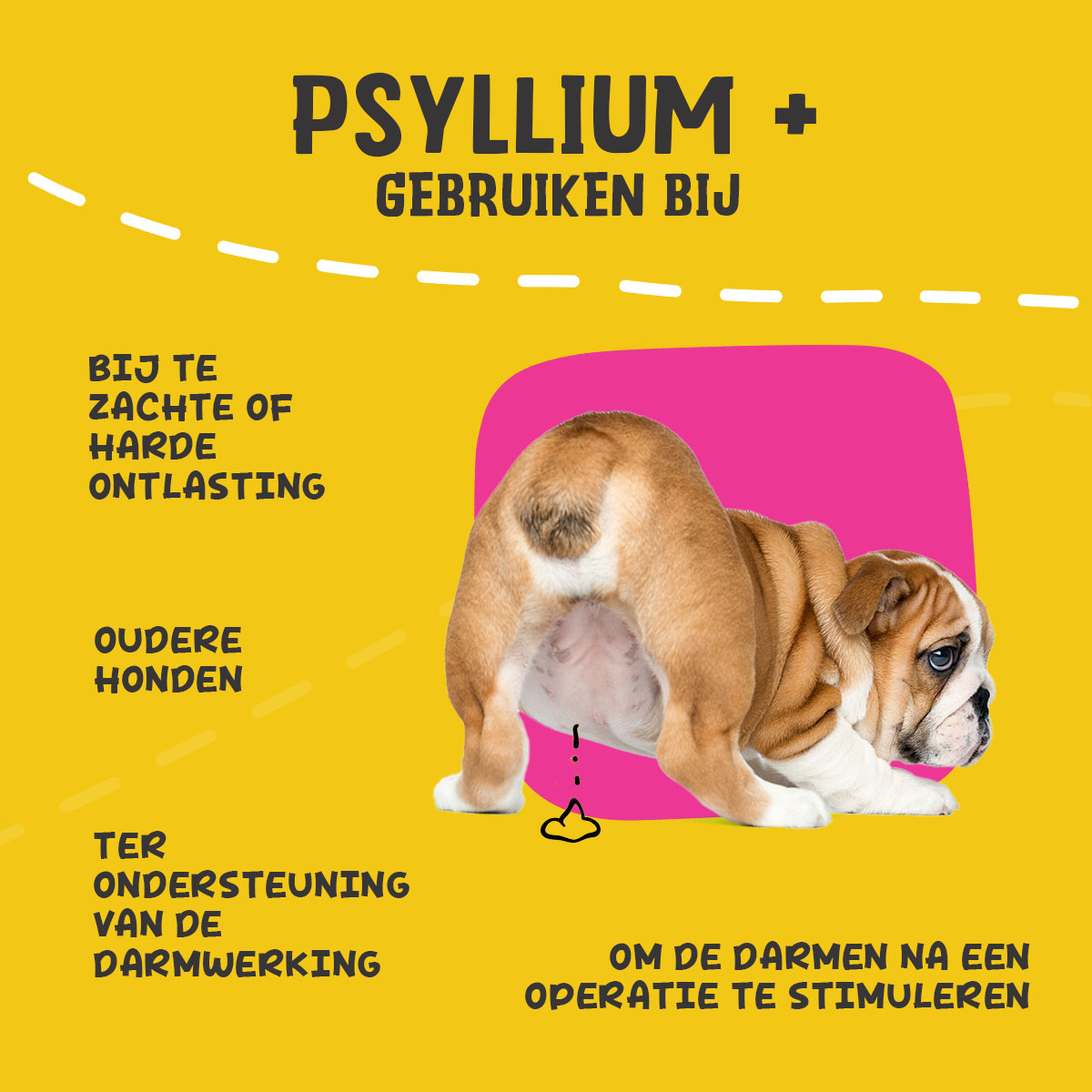 Excellent Pets Dog Psyllium+ 100 g — afbeelding 6