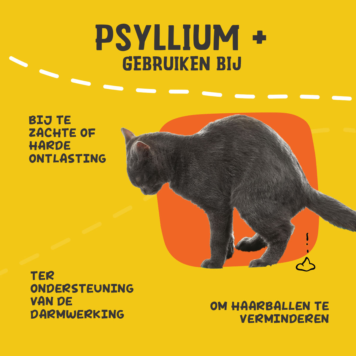 Excellent Pets Cat Psyllium+ 100 g — afbeelding 6